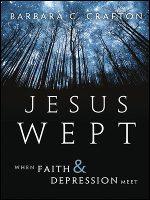 cover image of Jesus Wept